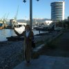 20141106_165810